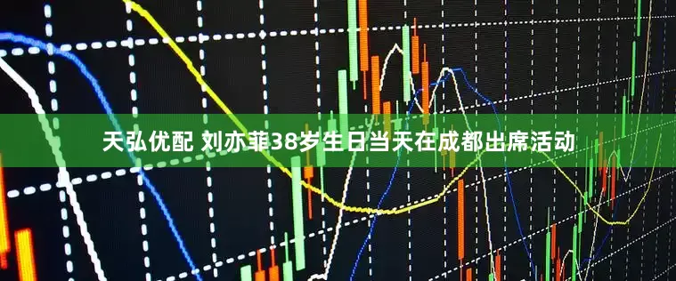 天弘优配 刘亦菲38岁生日当天在成都出席活动